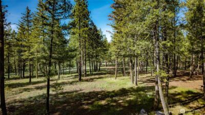 0 TBD Mineral Hill Road , Conconully, WA 98819 - Photo 22