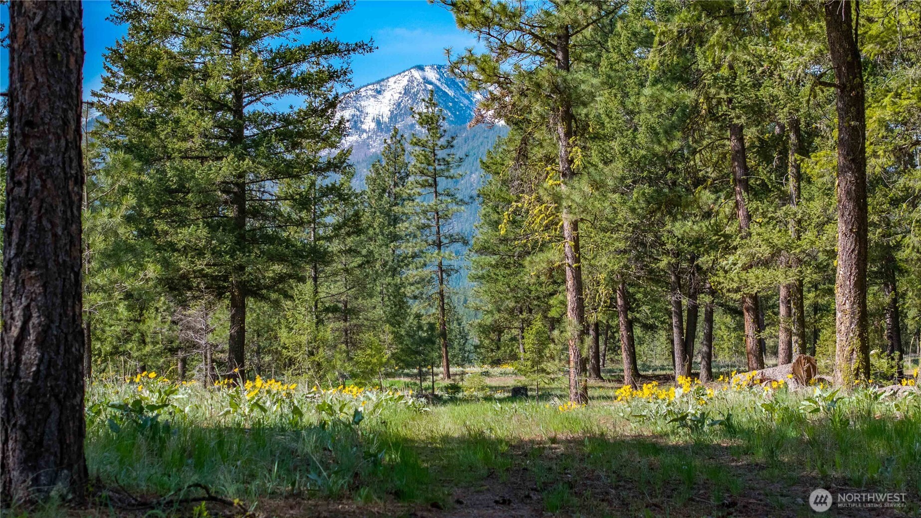 0 TBD Mineral Hill Road , Conconully, WA 98819