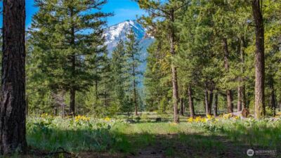 0 TBD Mineral Hill Road , Conconully, WA 98819 - Photo 25