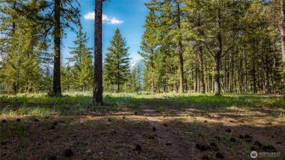 0 TBD Mineral Hill Road , Conconully, WA 98819 - Photo 26