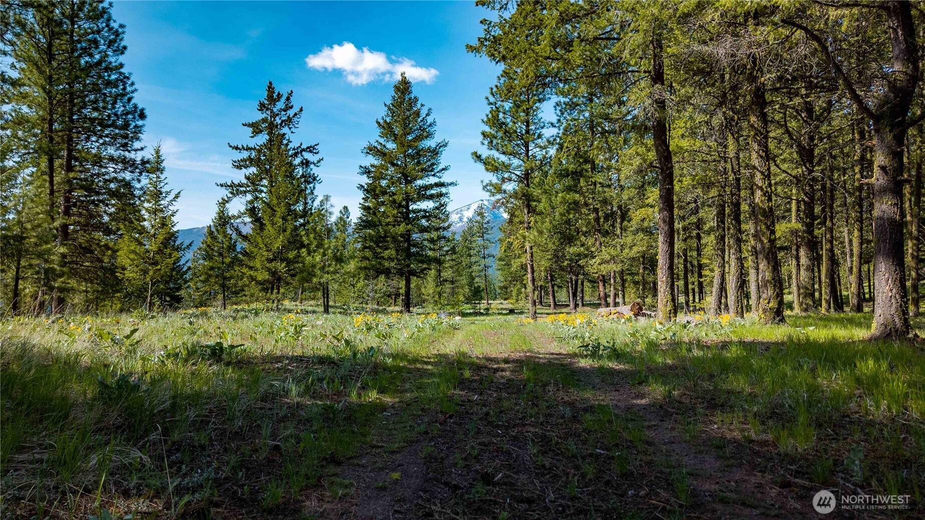 0 TBD Mineral Hill Road , Conconully, WA 98819