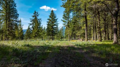 0 TBD Mineral Hill Road , Conconully, WA 98819 - Photo 27