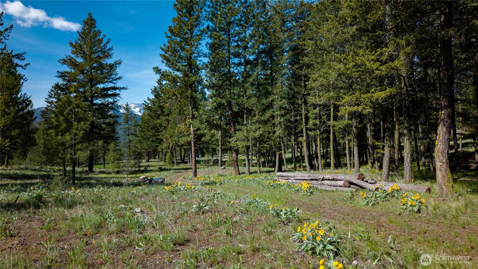 0 TBD Mineral Hill Road , Conconully, WA 98819