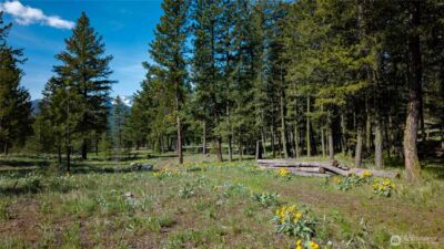 0 TBD Mineral Hill Road , Conconully, WA 98819 - Photo 28