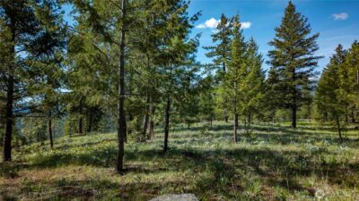 0 TBD Mineral Hill Road , Conconully, WA 98819 - Photo 29