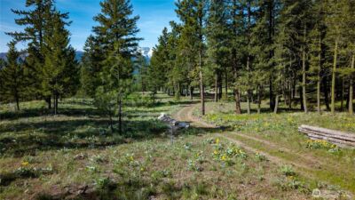 0 TBD Mineral Hill Road , Conconully, WA 98819 - Photo 30