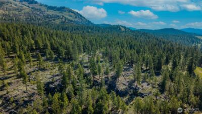 0 TBD Mineral Hill Road , Conconully, WA 98819 - Photo 5