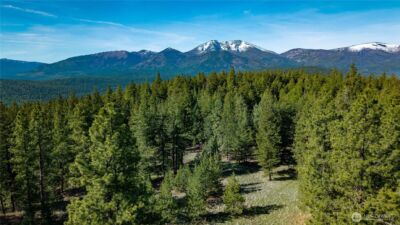 0 TBD Mineral Hill Road , Conconully, WA 98819 - Photo 7