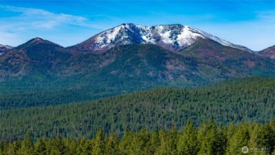 0 TBD Mineral Hill Road , Conconully, WA 98819 - Photo 8