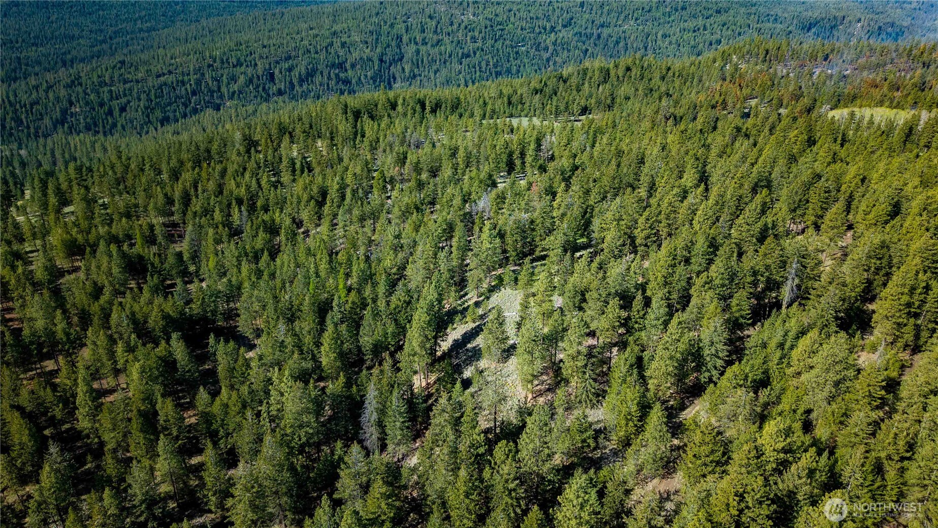 0 TBD Mineral Hill Road , Conconully, WA 98819