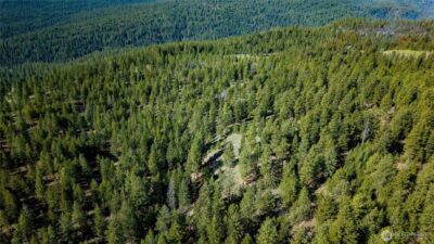 0 TBD Mineral Hill Road , Conconully, WA 98819 - Photo 9