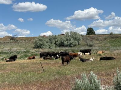 8708 Road K Road NE, Moses Lake, WA 98837 - Photo 24