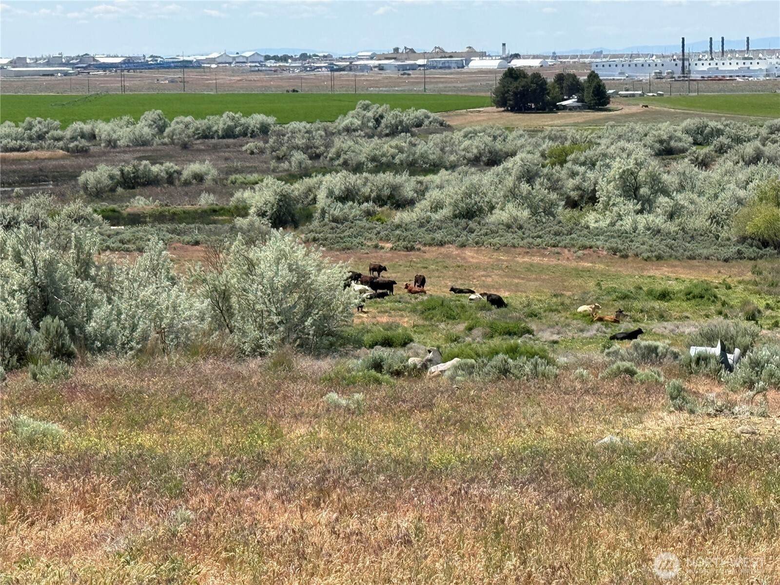 8708 Road K Road NE, Moses Lake, WA 98837