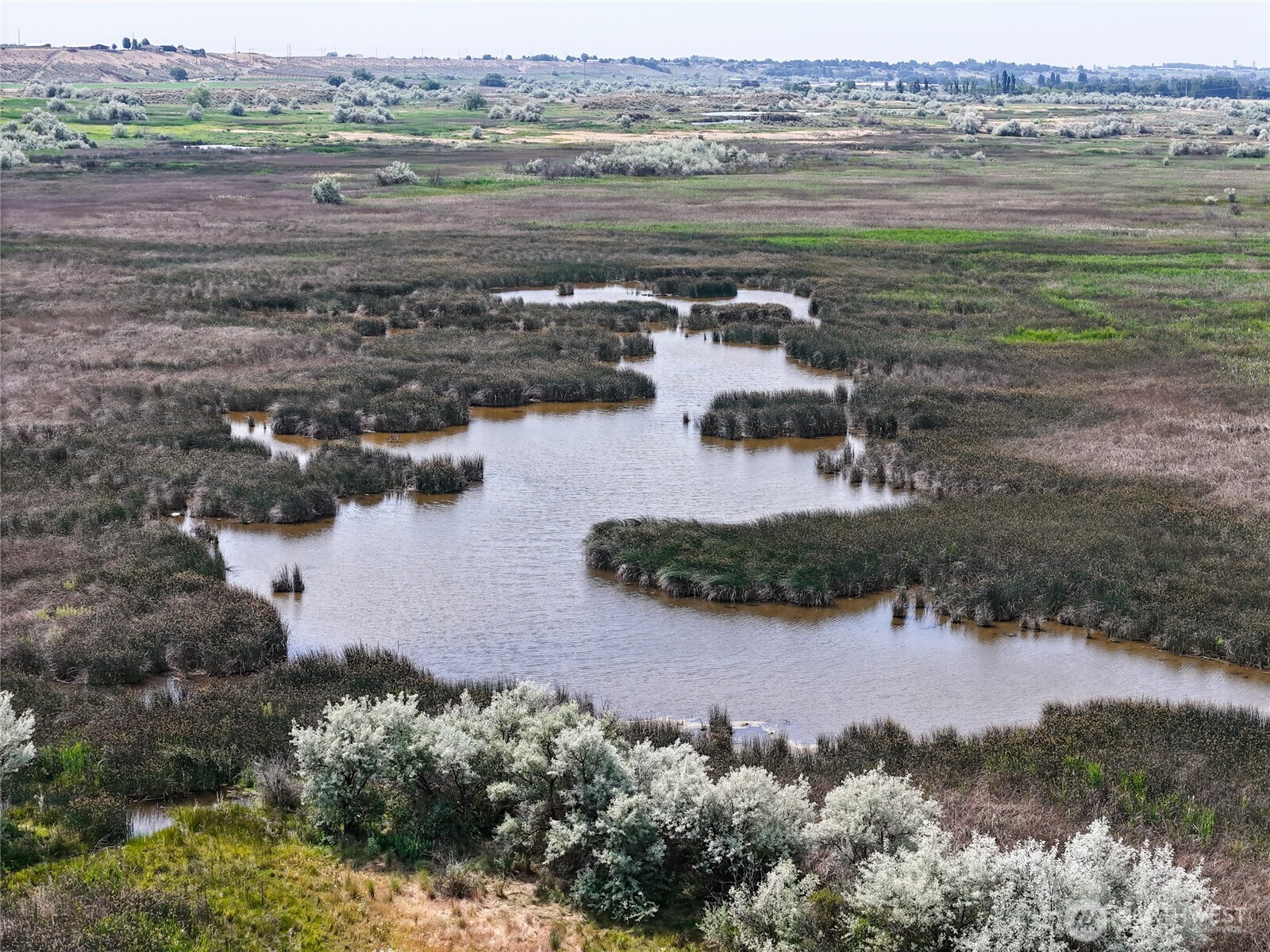 8708 Road K Road NE, Moses Lake, WA 98837
