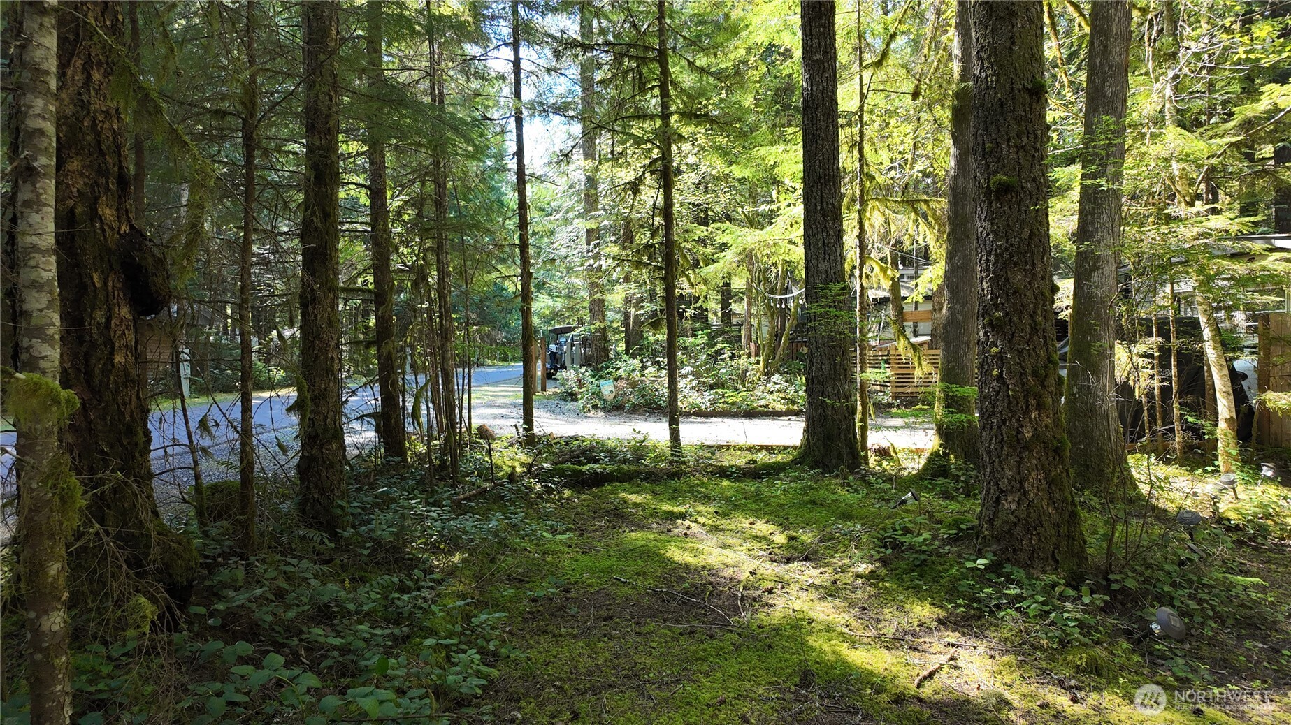 291 Schinn Canyon Drive , Deming, WA 98244