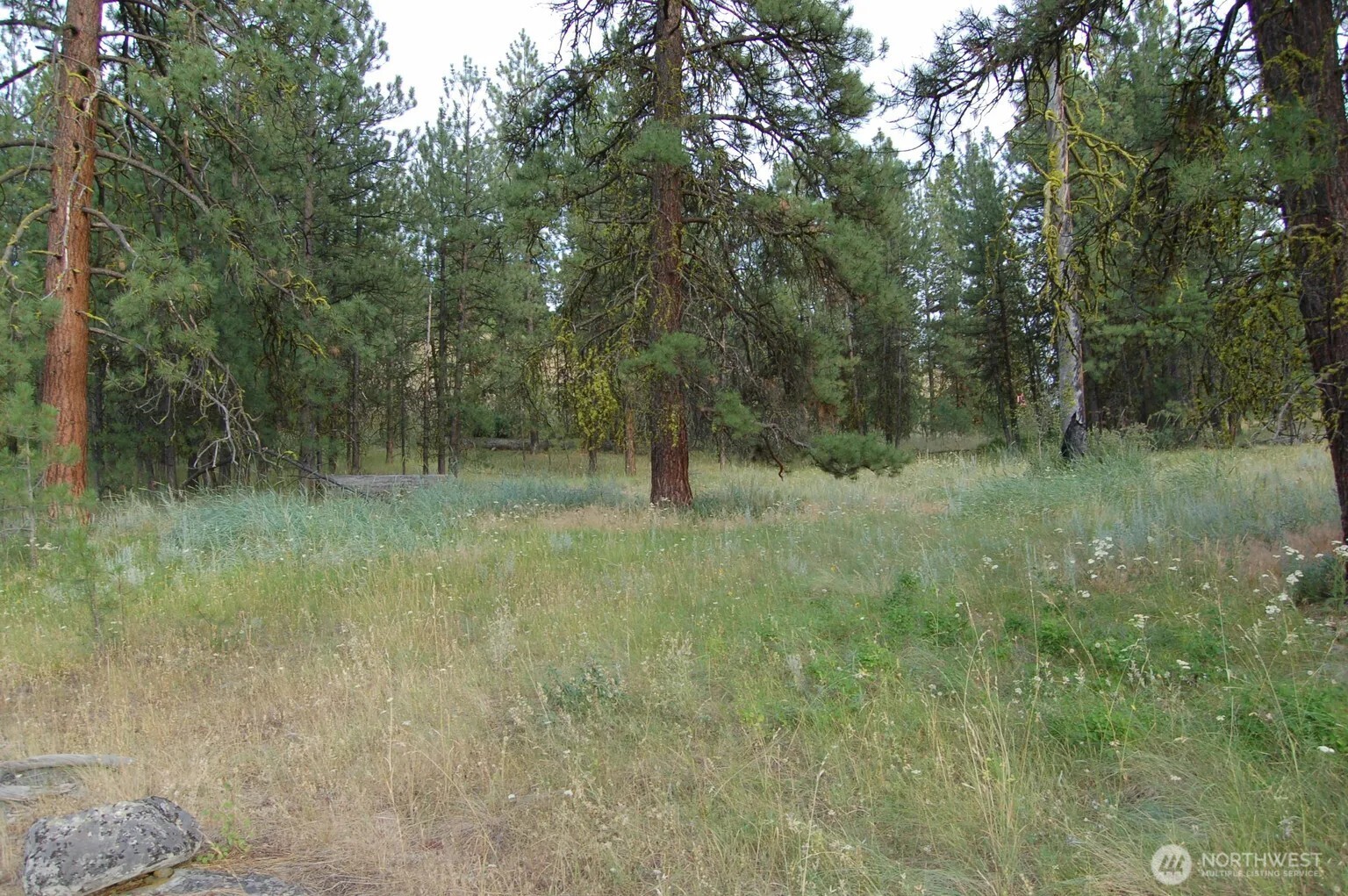 21 Deer Ridge Road , Tonasket, WA 98855