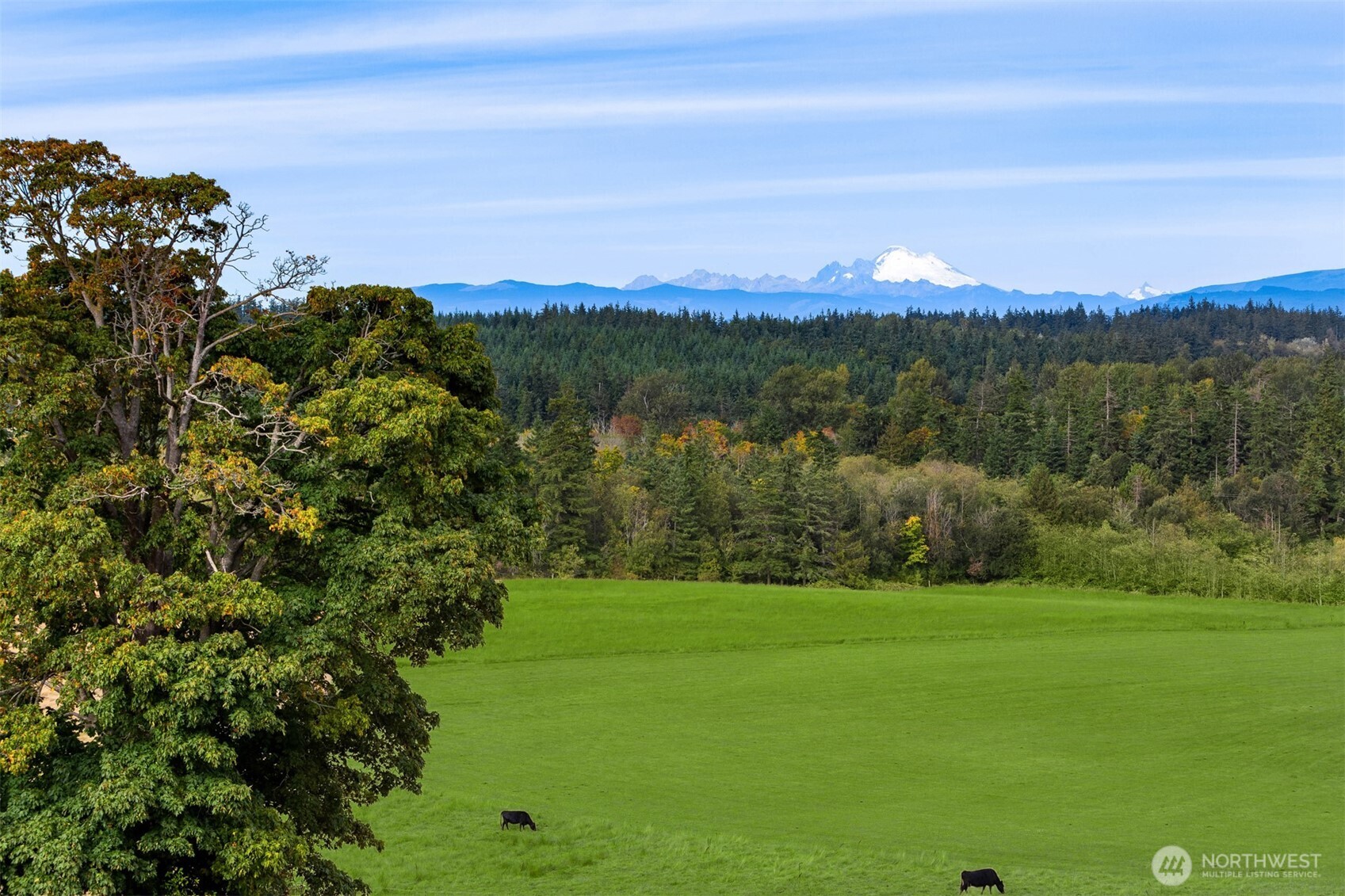 221 Baker View Lane , Camano Island, WA 98282