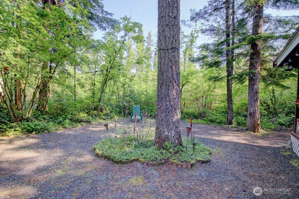 90 Christmas Tree Circle , Deming, WA 98244