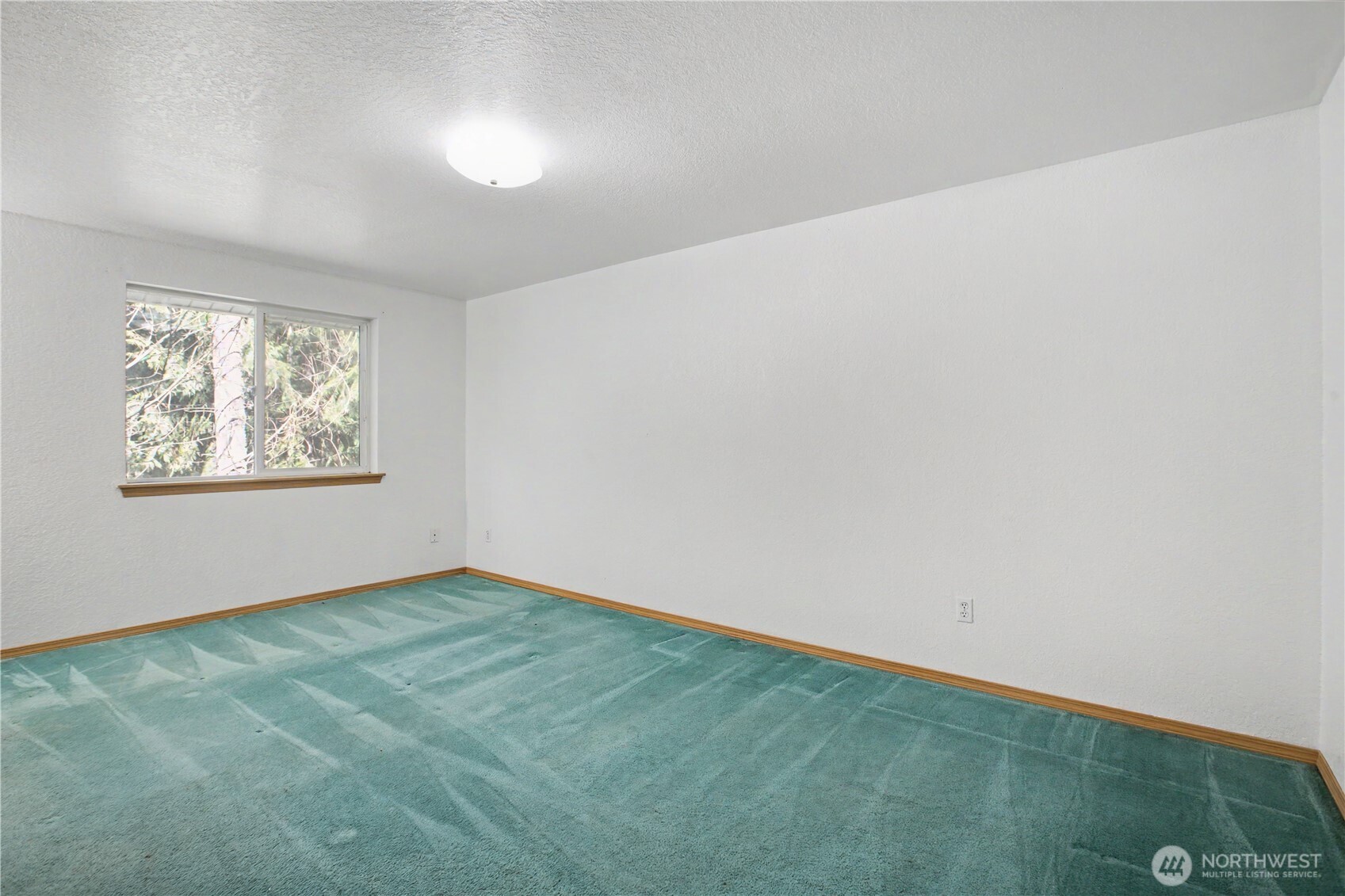 22530 Bluewater Drive SE, Yelm, WA 98597