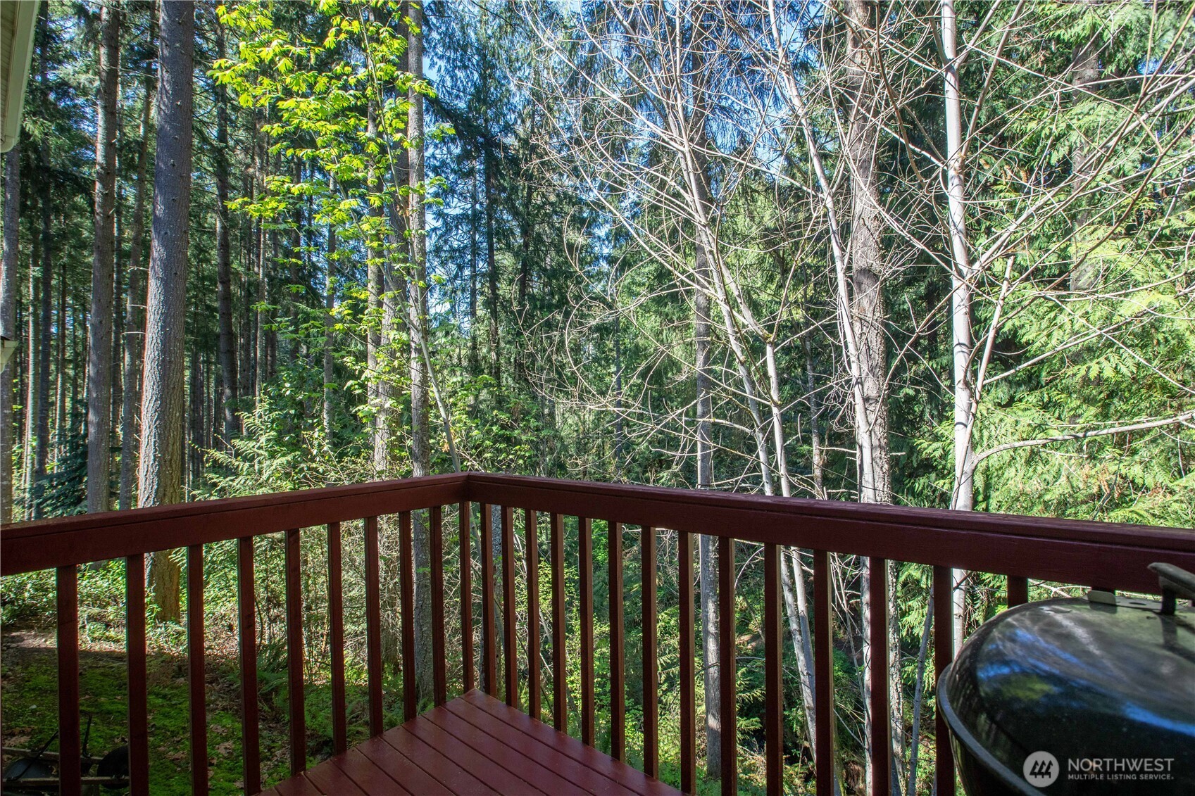 22530 Bluewater Drive SE, Yelm, WA 98597
