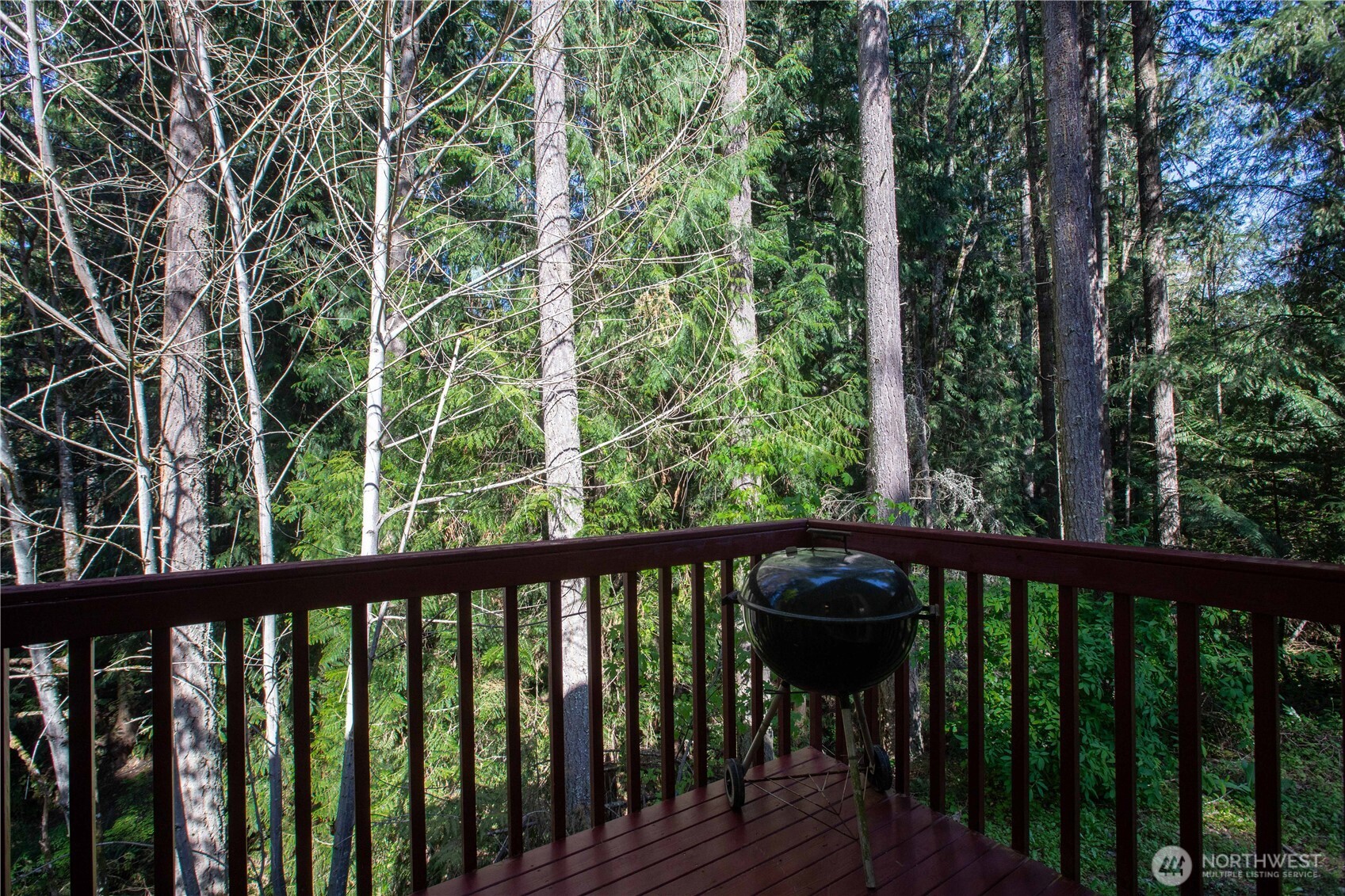 22530 Bluewater Drive SE, Yelm, WA 98597