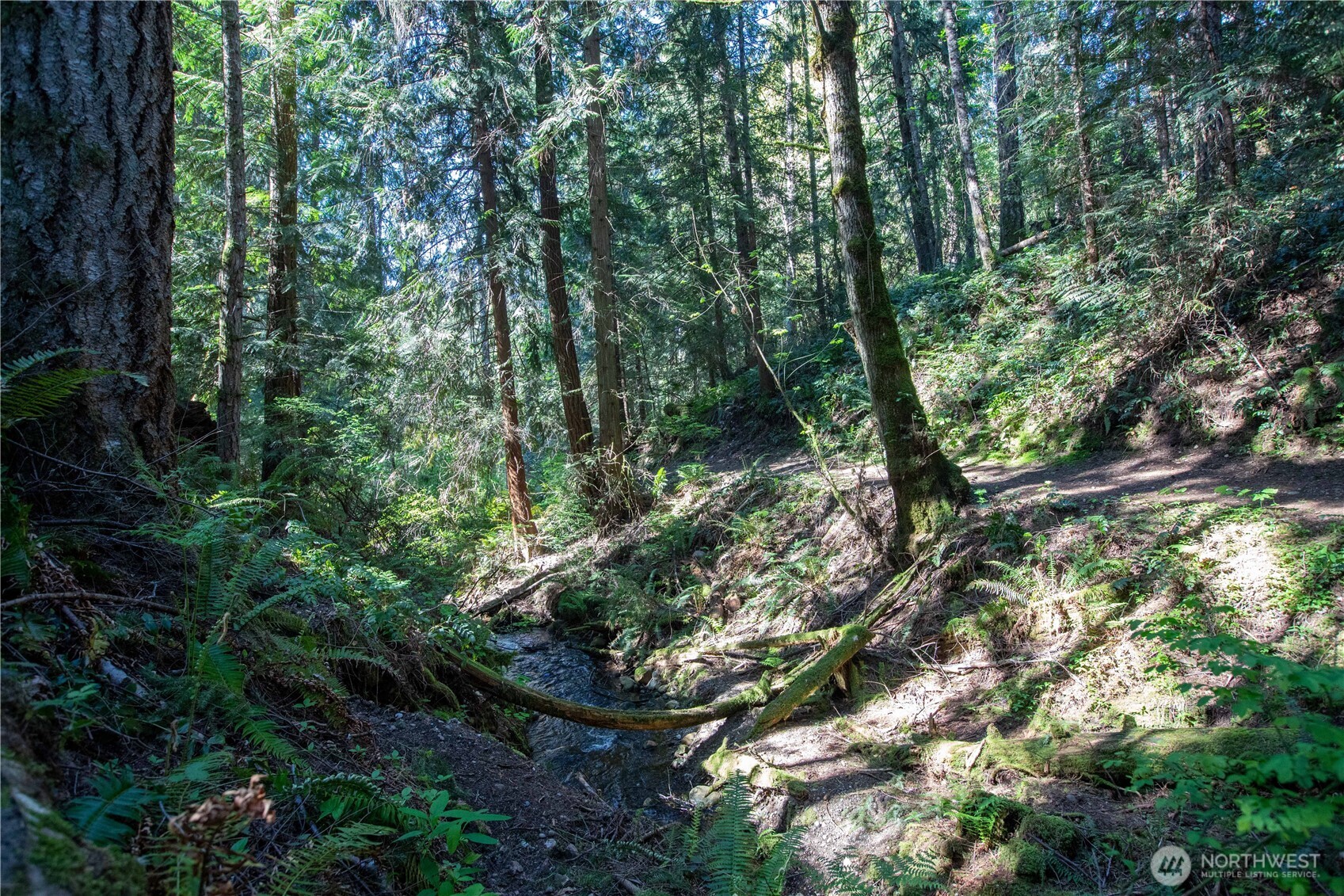 22530 Bluewater Drive SE, Yelm, WA 98597