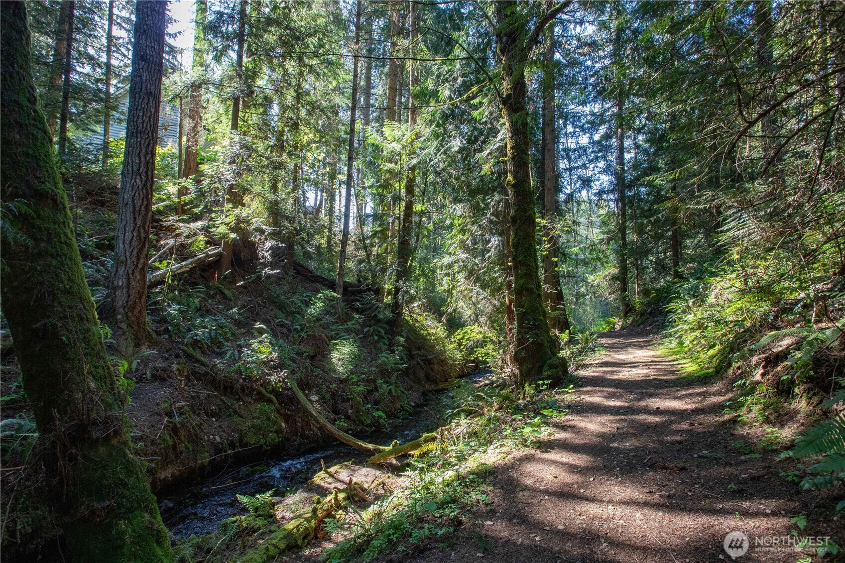 22530 Bluewater Drive SE, Yelm, WA 98597