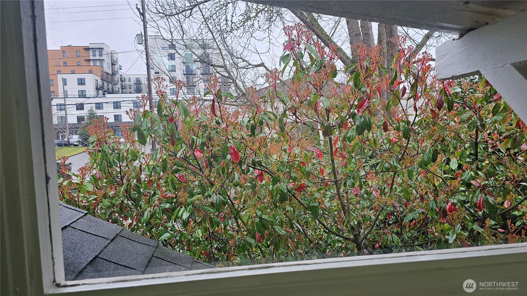 1010 S I Street , Tacoma, WA 98405