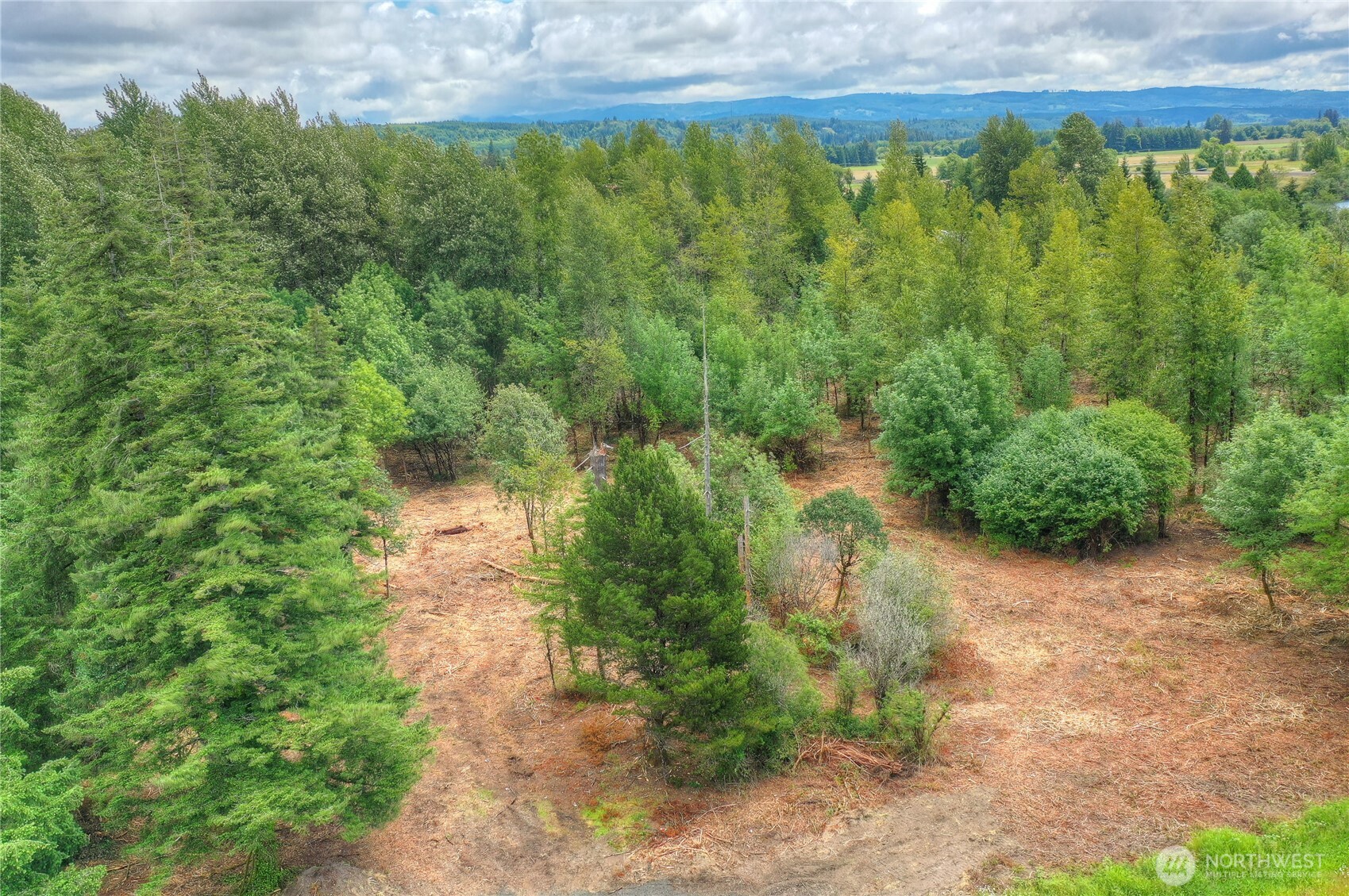 0 Old Wentzel Slough Road , Elma, WA 98541