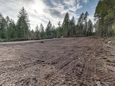621 E Strong Road , Shelton, WA 98584 - Photo 11
