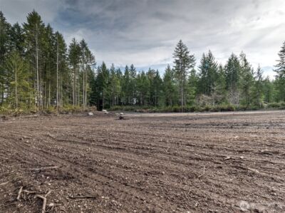 621 E Strong Road , Shelton, WA 98584 - Photo 13