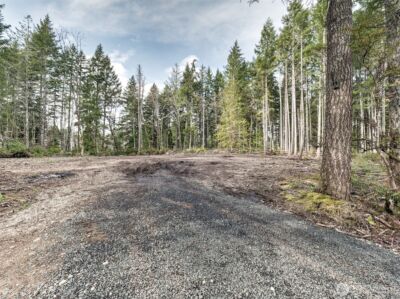 621 E Strong Road , Shelton, WA 98584 - Photo 16