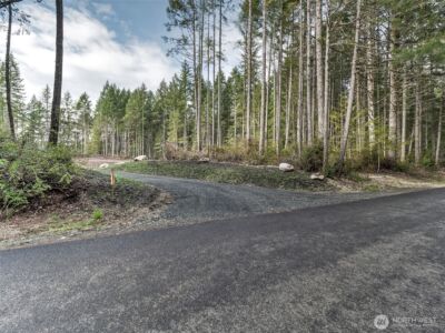 621 E Strong Road , Shelton, WA 98584 - Photo 6