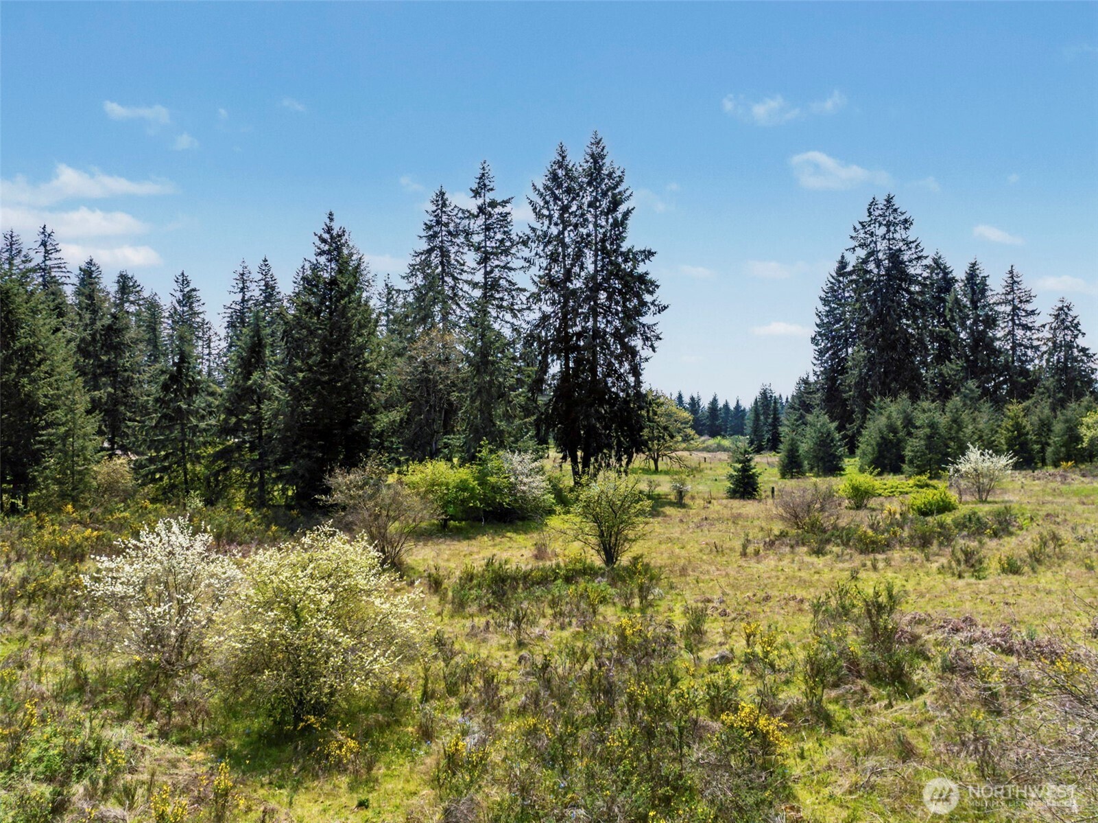 16348 SE Old Highway 99 SE, Tenino, WA 98589