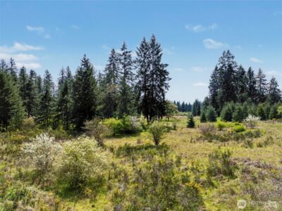 16348 SE Old Highway 99 SE, Tenino, WA 98589 - Photo 6