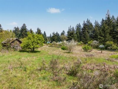 16348 SE Old Highway 99 SE, Tenino, WA 98589 - Photo 8