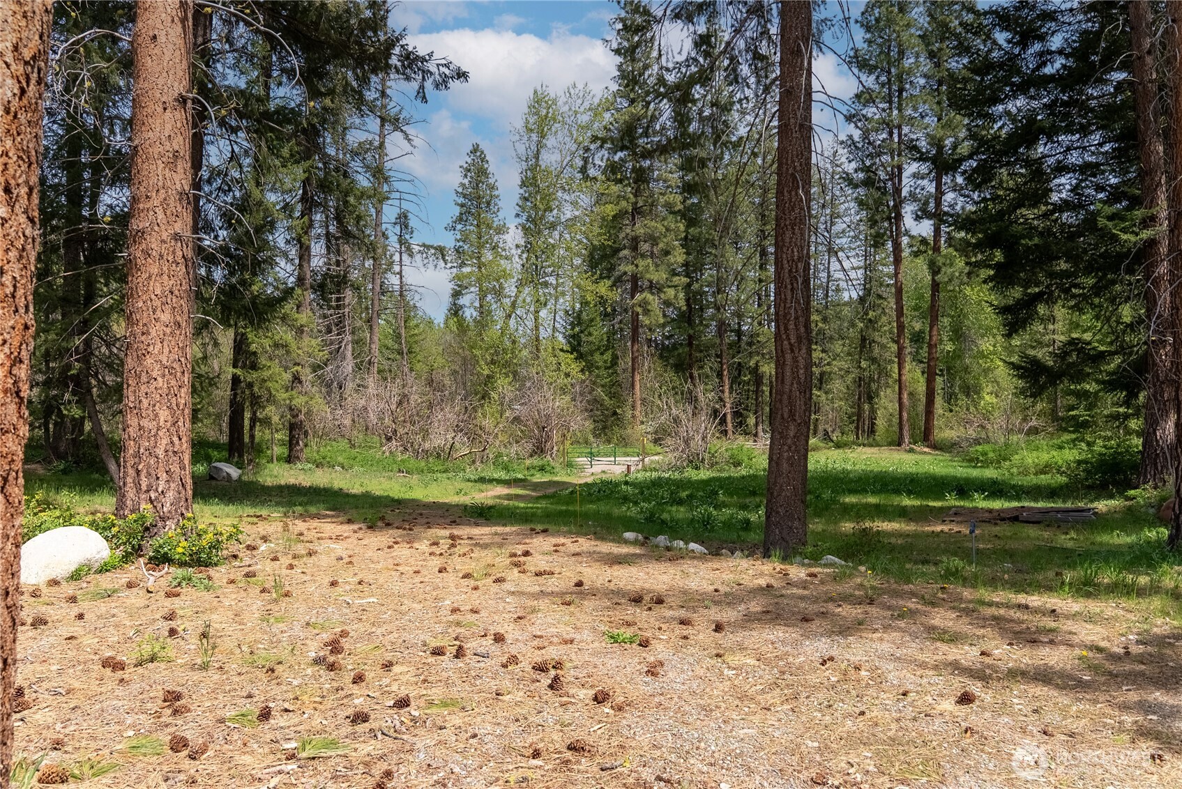 211 W Buttermilk Creek Road , Twisp, WA 98856