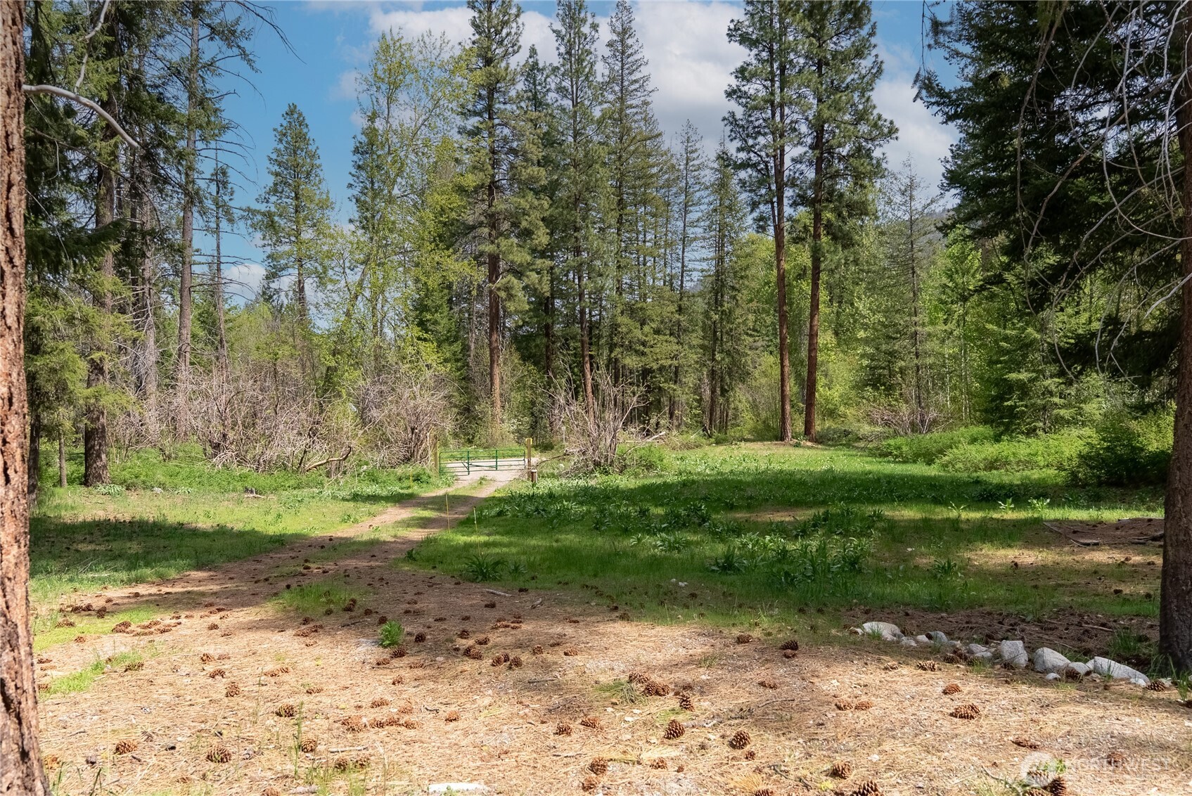 211 W Buttermilk Creek Road , Twisp, WA 98856