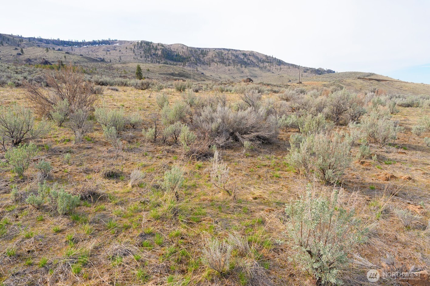 0 Parcel A McNeil Canyon Rd , Orondo, WA 98816