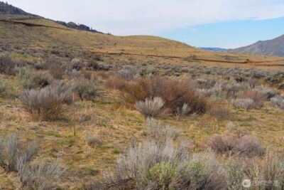 0 Parcel B McNeil Canyon Rd , Orondo, WA 98816 - Photo 13