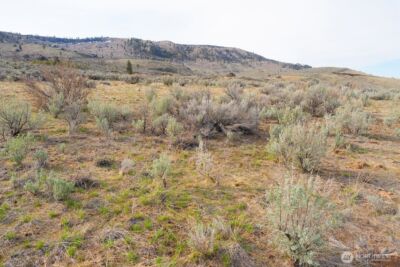 0 Parcel C McNeil Canyon Rd , Orondo, WA 98816 - Photo 11