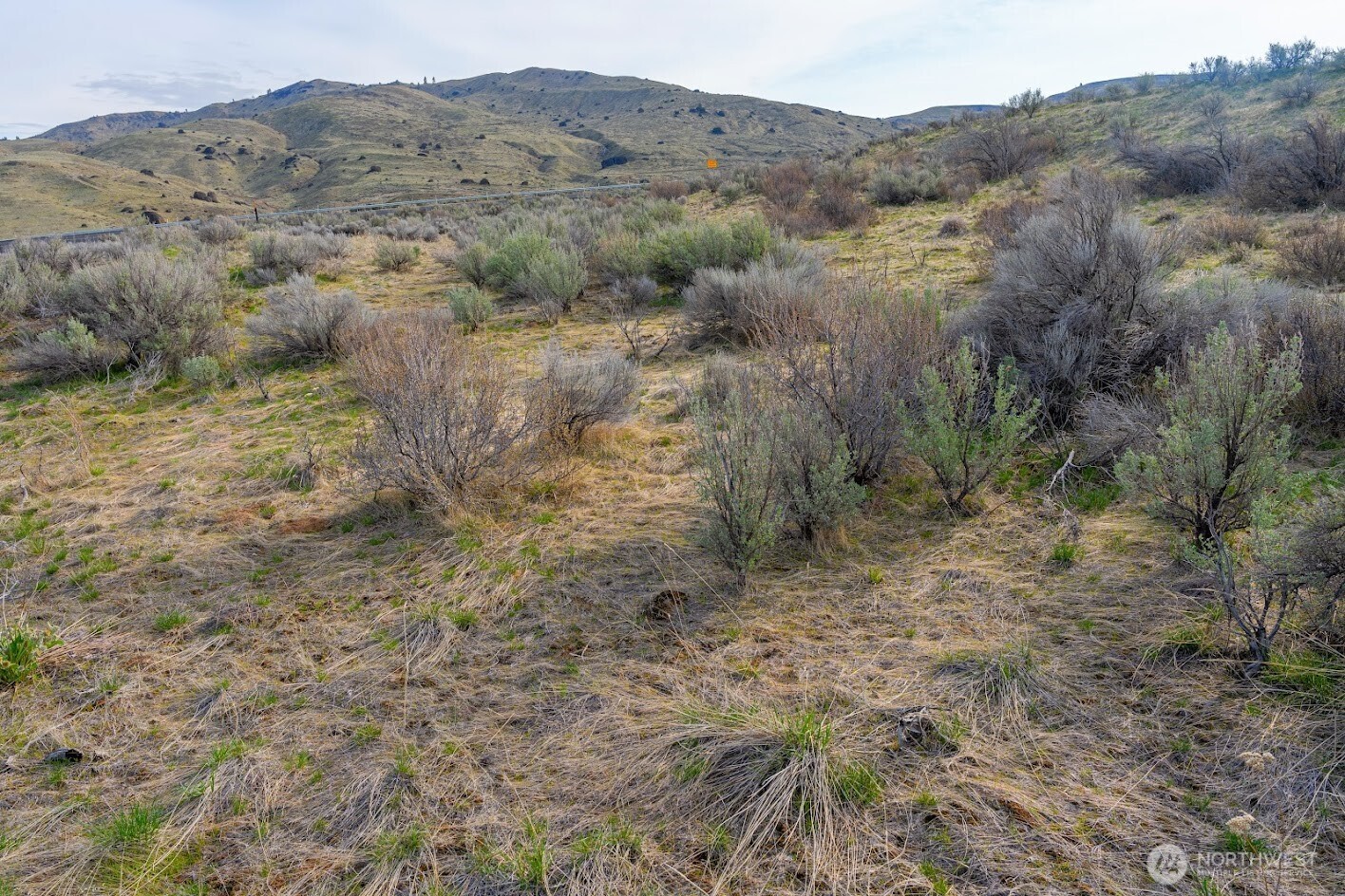 0 Parcel C McNeil Canyon Rd , Orondo, WA 98816