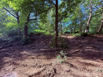 75 F Beach Way , Hat Island, WA 98206 - Photo 3