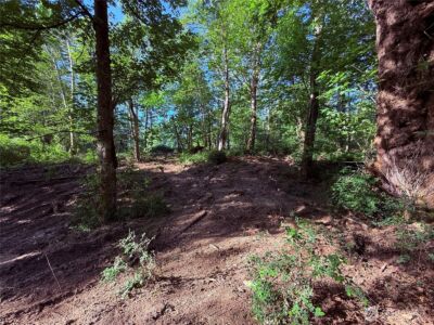 75 F Beach Way , Hat Island, WA 98206 - Photo 4