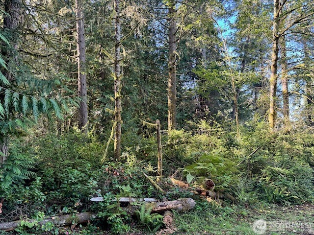 12408 93rd Street , Anderson Island, WA 98303
