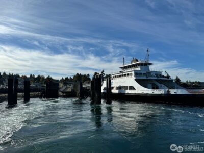 12408 93rd Street , Anderson Island, WA 98303 - Photo 13