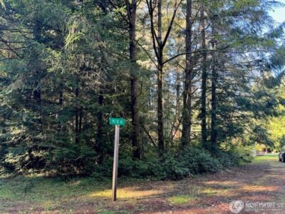 12408 93rd Street , Anderson Island, WA 98303 - Photo 3