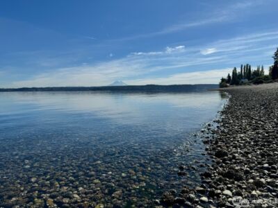 12408 93rd Street , Anderson Island, WA 98303 - Photo 6