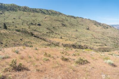 0 Tract 6 McNeil Canyon Rd , Orondo, WA 98816 - Photo 11
