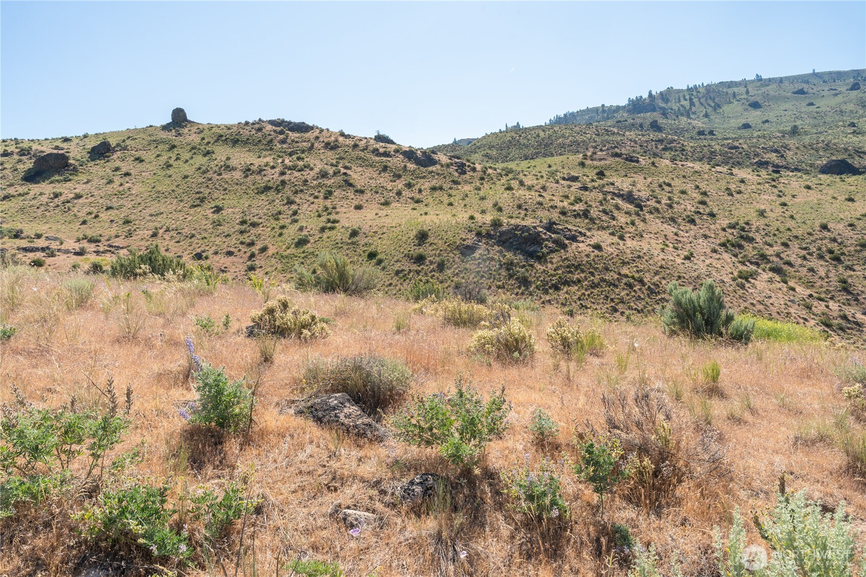 0 Tract 6 McNeil Canyon Rd , Orondo, WA 98816